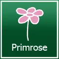 Primrose 促銷代碼 