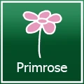 Primrose Codes promotionnels 
