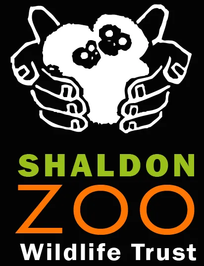 Shaldon Zoo Tarjouskoodit 