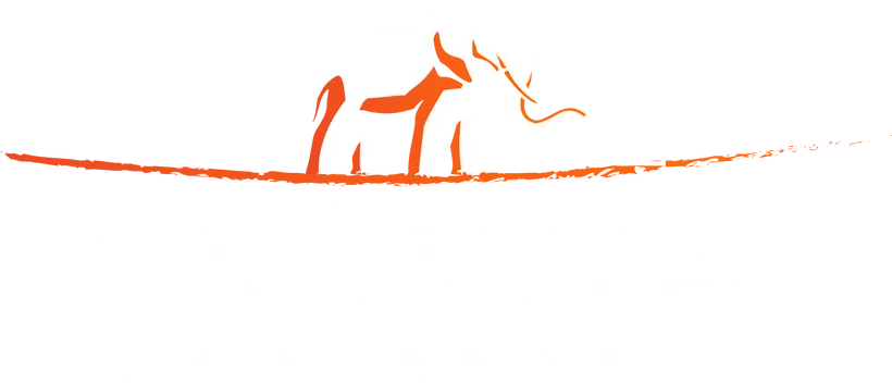 Elephantos.Com Codes promotionnels 