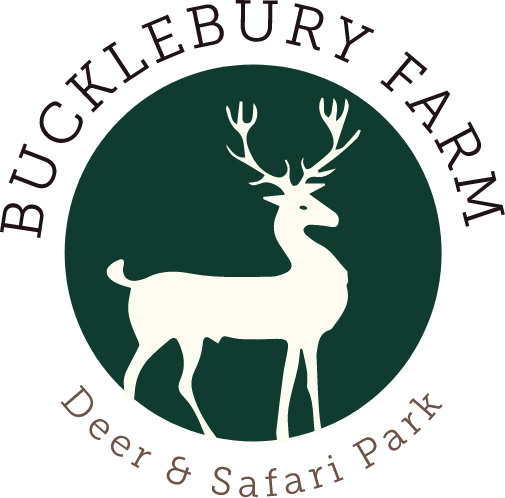 Bucklebury Farm Park Tarjouskoodit 