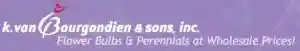 K. Van Bourgondien And Sons プロモーション コード 