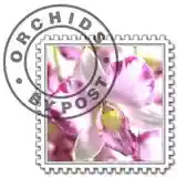 Orchids By Post 促銷代碼 