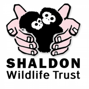 Shaldon Zoo 프로모션 코드 