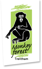 Trentham Monkey Forest Code de promo 