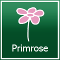 Primrose 프로모션 코드 